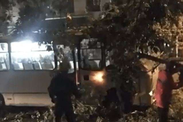 Негода у Києві: дерево привалило маршрутку з пасажирами (відео)