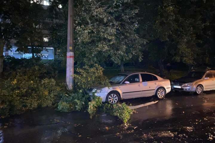 Затори, вирвані дерева, понівечені авто: негода в Києві наробила біди (фото)