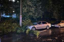 Затори, вирвані дерева, понівечені авто: негода в Києві наробила біди (фото)
