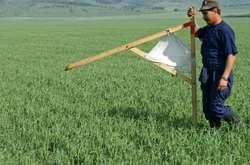 Спадкування земельної ділянки: що важливо знати