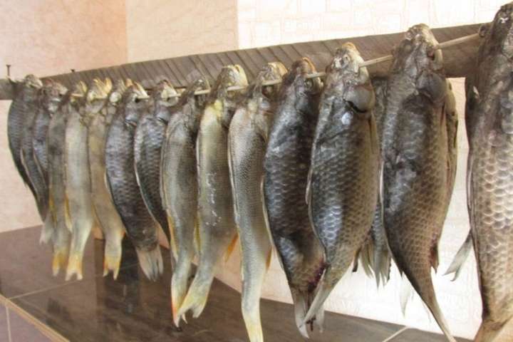 Жителька Кіровоградщини підчепила рідкісну хворобу через рибу 