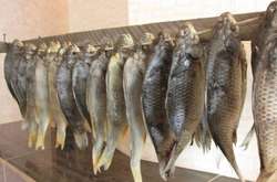 Жителька Кіровоградщини підчепила рідкісну хворобу через рибу 