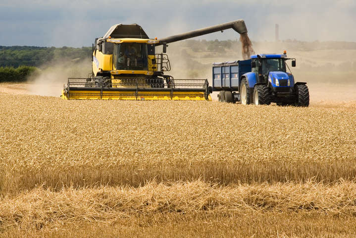 Україна зібрала рекордний урожай зерна. Уряд каже, що це його заслуга