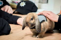 Незвичний поліцейський постить у мережі фото з колегами