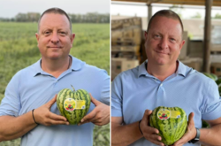  Также фирма выращивает арбузы в форму куба 
 Фото Роман Дяжук / Facebook 
  