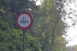 Эти дорожные знаки больше вводят в ступор, чем помогают. Курьезные фото