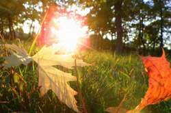 Погода в Україні у вівторок, 7 вересня, буде ясною та без опадів