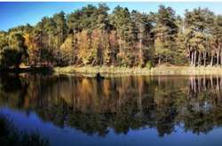  Комісія скасувала результати конкурсу та призначила новий  