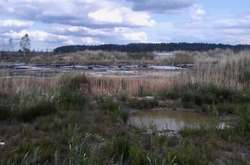 На Рівненщині зловмисники видобували бурштин на території заповідника (фото)