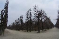 На этих фото мир выглядит словно плохо прорисованная компьютерная игра