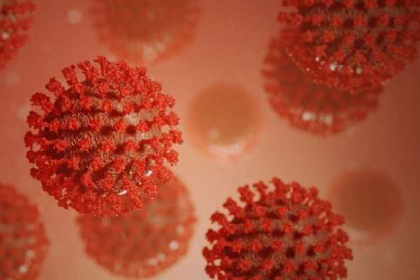 Збудник коронавірусу існував багато тисяч років тому – дослідження