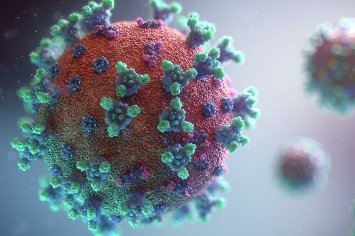 Возбудитель коронавируса существовал много тысяч лет назад – исследование 