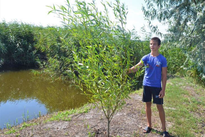  На Одещині школяр власноруч висадив 120 дерев
