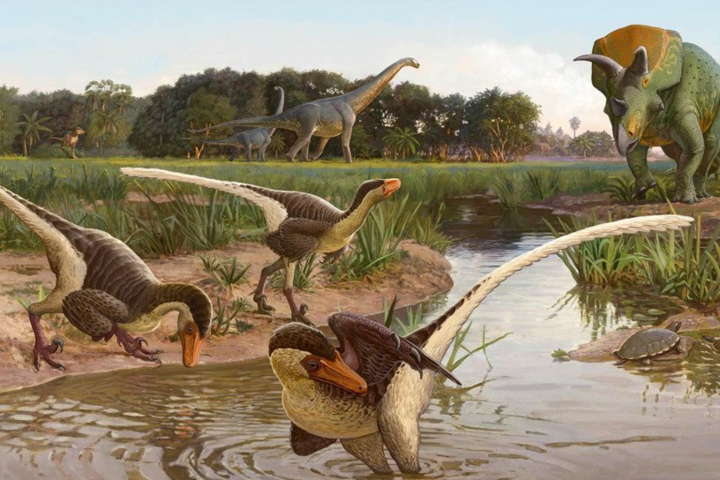 Ученые обнаружили останки ранее неизвестного динозавра 