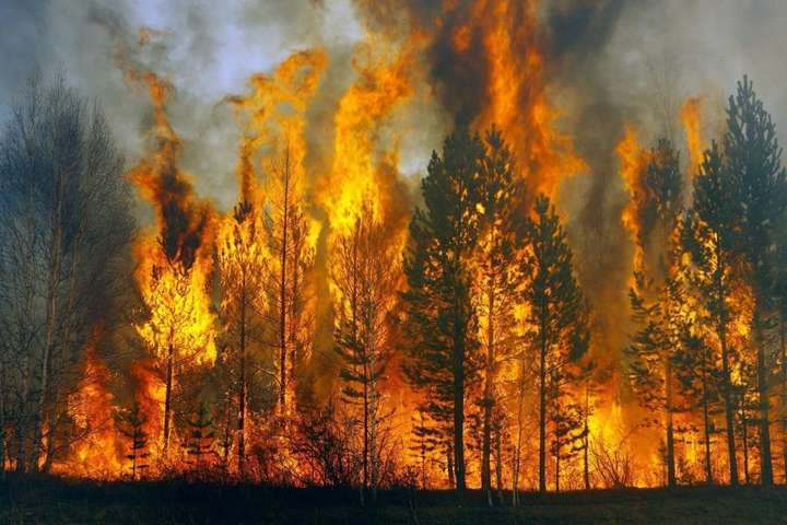 Іспанія у полоні лісових пожеж. Влада підозрює підпал 