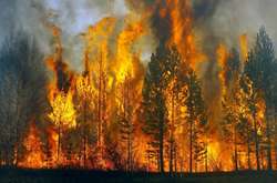 Іспанія у полоні лісових пожеж. Влада підозрює підпал 