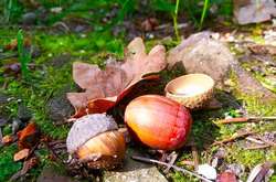 Дощі на заході, сонячно на сході: прогноз погоди на 17 вересня