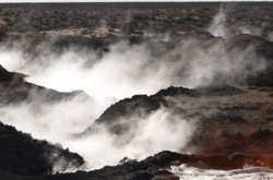В одной из стран бывшего СССР зафиксировано масштабный выброс опасного газа 