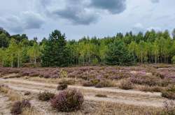 Субота прийде з осінньою погодою