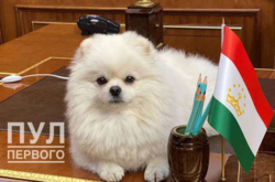 Собачка Лукашенко в Душанбе продемонстрировала свою невоспитанность (фото) 