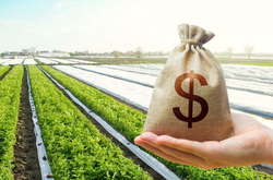  Міністр агрополітики радить не продавати землю: причини