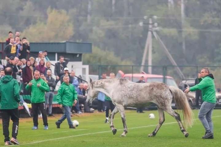 Кінь ледве не зірвав відбірний матч Дефлімпійських ігор Україна – Італія