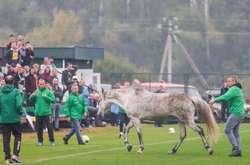 Кінь ледве не зірвав матч у Полтавській області