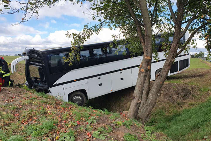 В Польше автобус с десятками детей слетел в кювет (фото) 