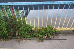 Загинув на риболовлі: під Києвом удар струму вбив підлітка