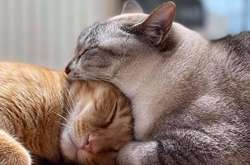 Подборка курьезных фото, которые обманут и запудрят мозги любого