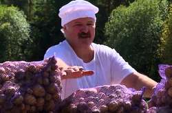 Білорусь втратила лідерство із виробництва картоплі та імпортує її з України