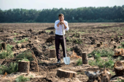 «Миллиард деревьев» от Зеленского: аналитик рассказал о неутешительных результатах