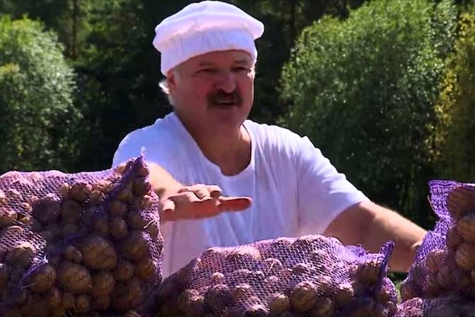 Беларусь потеряла лидерство по производству картофеля и импортирует его из Украины 