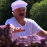 <p class="p1">Обычно Беларусь не закупает картофель в других странах, а наоборот, экспортирует ее</p>