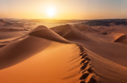 Через 30 лет украинские степи могут превратиться в пустыни 