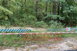 Покушение на Шефира: полиция сообщила, что она ищет в лесу