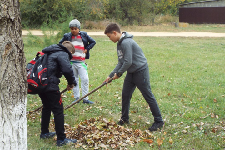 Учеников нельзя заставлять собирать листья и мыть школу – омбудсмен 