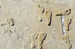 Перші люди з'явилися в Америці значно раніше, ніж вважалося