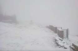 У Карпатах сніг та сильний вітер: рятувальники попереджають про небезпеку (відео)