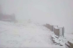 В Карпатах снег и сильный ветер: спасатели предупреждают об опасности (видео)