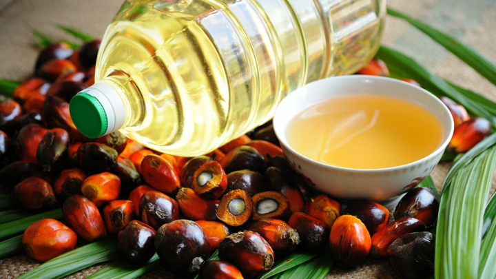 Верховная Рада сделала первый шаг к запрету пальмового масла 