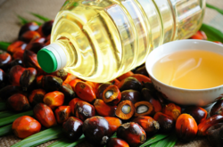  Цель законопроекта – запрет использования пальмового масла в пищевых продуктах 