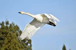 28 вересня: яке сьогодні свято, прикмети та заборони 