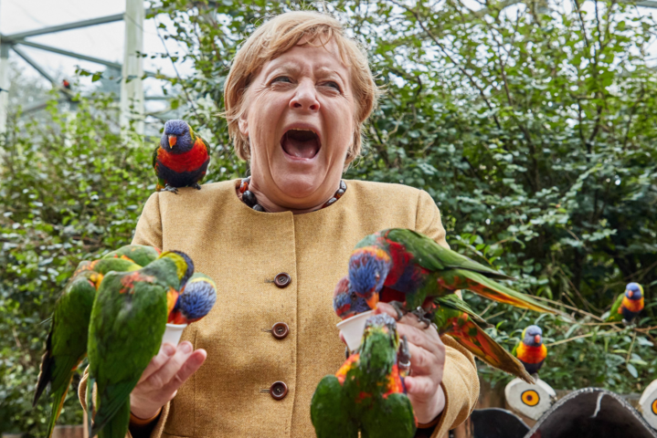Меркель эмоционально сфотографировалась с попугаями и порадовала соцсети
