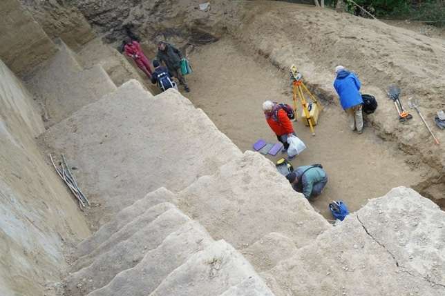 Археологи розкопали на Буковині кістки мамонта і знаряддя первісних людей (фото) 