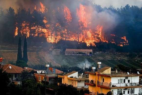 Туреччина знову потерпає від лісових пожеж (фото)
