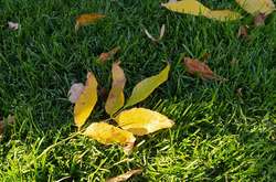 Сонячно, але з хмарами: синоптики розповіли про погоду до кінця тижня (карта)