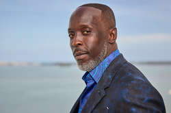 Американский актер Майкл Кеннет Уильямс