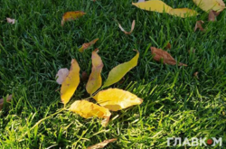  Небольшие дожди возможны лишь в Сумской области 