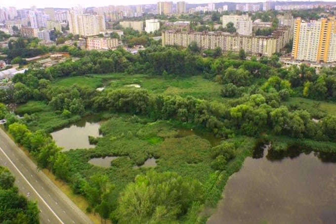 Забудови не буде. Громаді Києва повернуто 19 га землі на Совських ставках